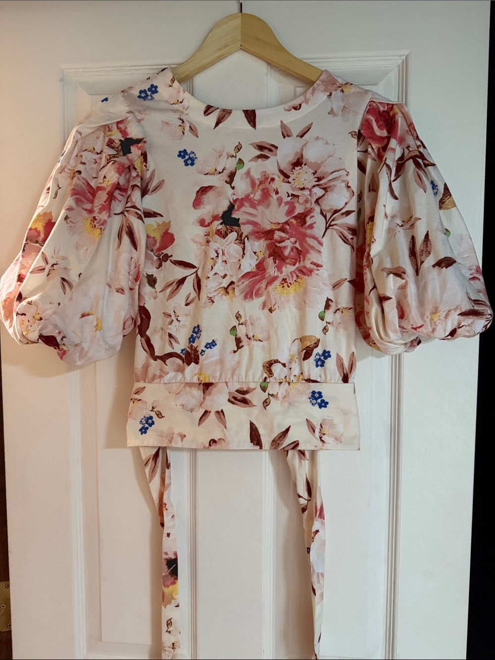 Express Floral Puff Sleeve Top - Blush Pink & Blue Accents
